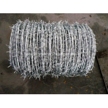 Hot-DIP Galvanized Barbed Wire Price Per Roll Made in China